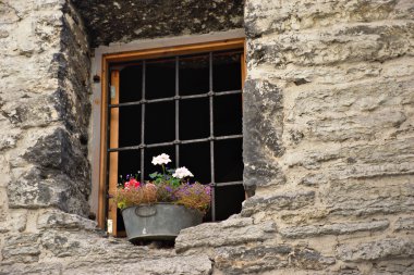 Eski pencere çiçeklerle süslenmiş