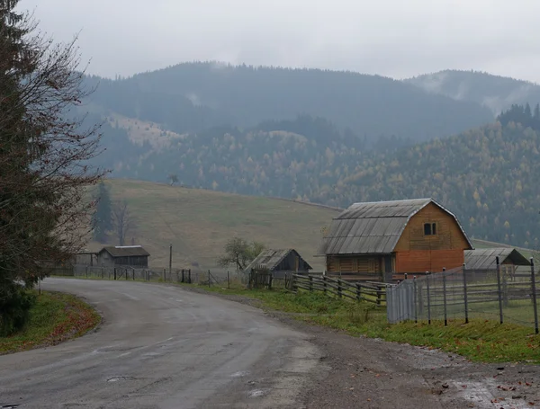 Traditioneel dorp huis staande horen de weg in de Karpaten, Oekraïne — Stockfoto