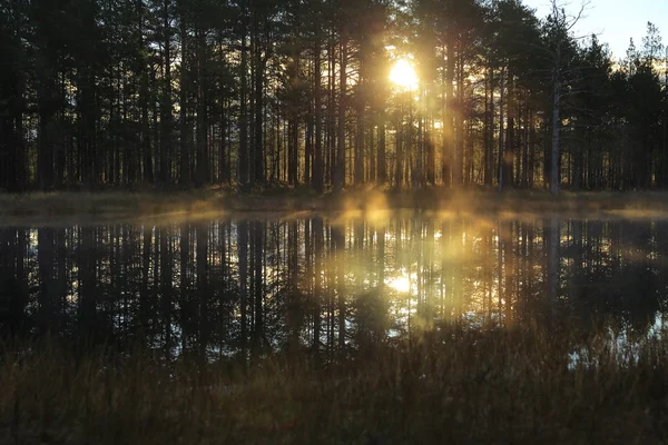 Sole nella nebbia — Foto Stock