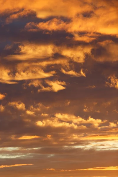 Nubes agudas en la salida del sol —  Fotos de Stock