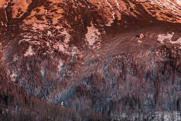 Dokulu eğimi degrade renk — Stok fotoğraf