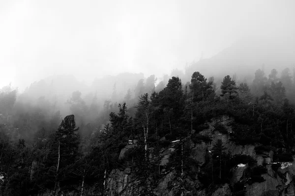 Siluetas en la niebla — Foto de Stock