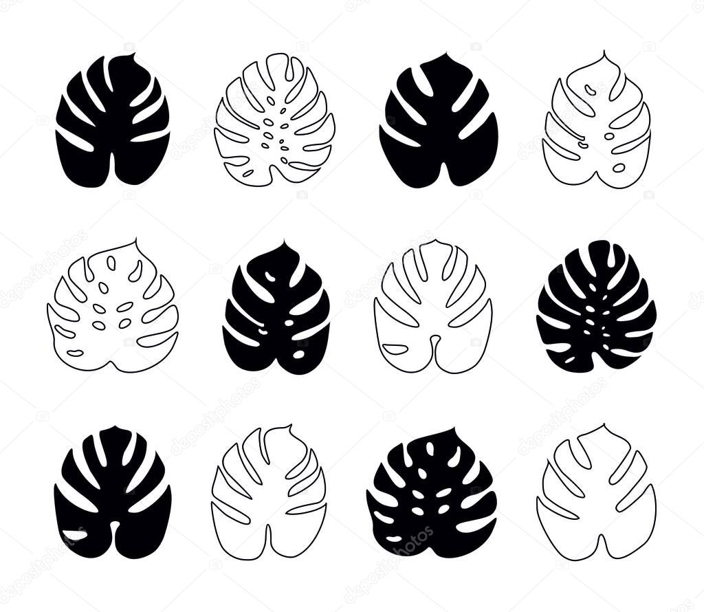 Icons with tropical palm leaves, monstera. Beautiful hand drawn exotic plants. Floral background. Monsters isolated on white background. Monstera leaves, jungle. Silhouette of monstera leaves