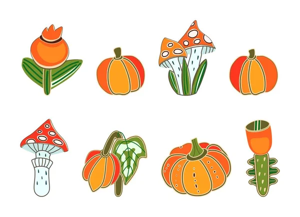 Las Calabazas Las Setas Las Flores Sobre Fondo Blanco Ilustración — Vector de stock