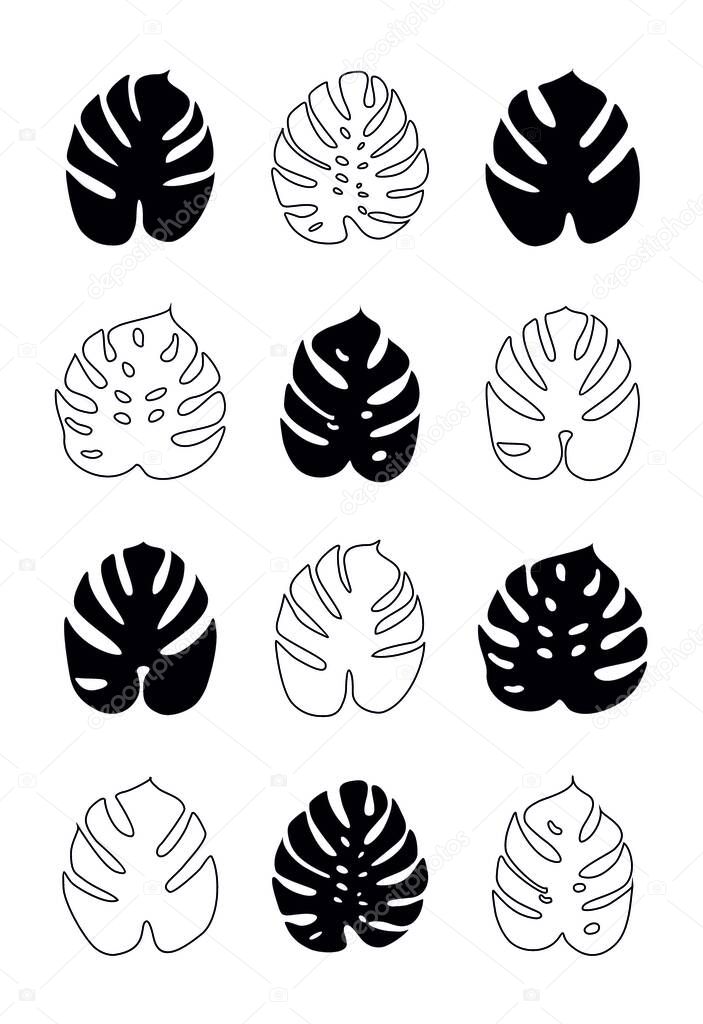 Icons with tropical palm leaves, monstera. Beautiful hand drawn exotic plants. Floral background. Monsters isolated on white background. Monstera leaves, jungle. Silhouette of monstera leaves