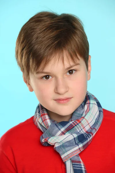 Close Portrait Trendy Cheerful Teenage Boy Wearing Red Sweater Plaid — Stock Photo, Image