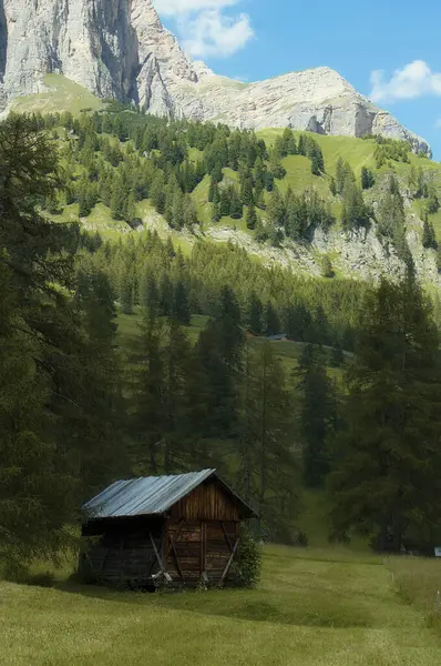 イタリアの山の風景と木 — ストック写真