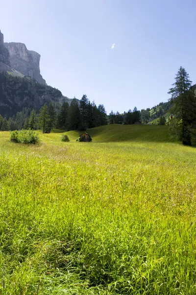 Paesaggio Montano Italiano Con Alberi — Foto Stock