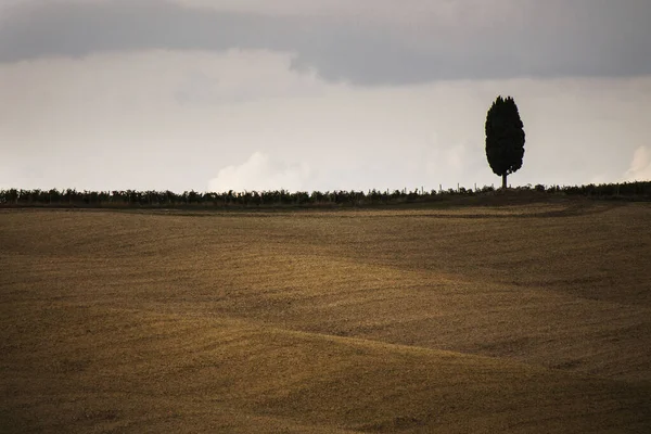 Landelijk Landschap Van Toscane Herfst — Stockfoto