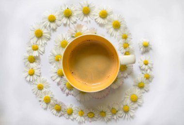 Bir fincan kahve ve papatya sarmalı.