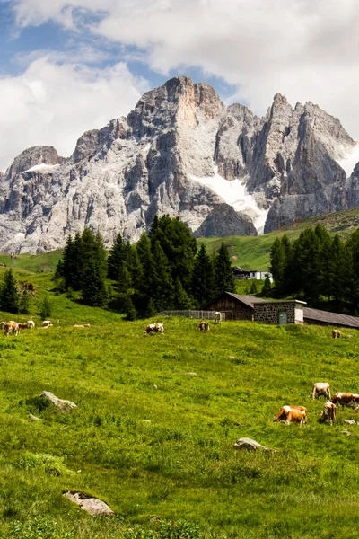 Krajobraz Włoskich Alp Zachmurzonym Niebem — Zdjęcie stockowe