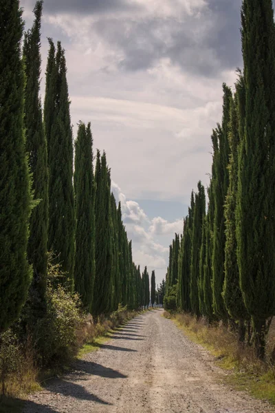 Landelijk Landschap Toscane Met Cipressen — Stockfoto