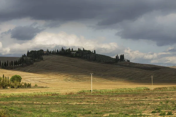 Cenário Rural Toscana Com Cipreste — Fotografia de Stock