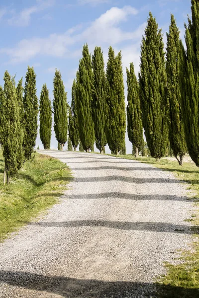 Landelijk Landschap Toscane Met Cipressen — Stockfoto