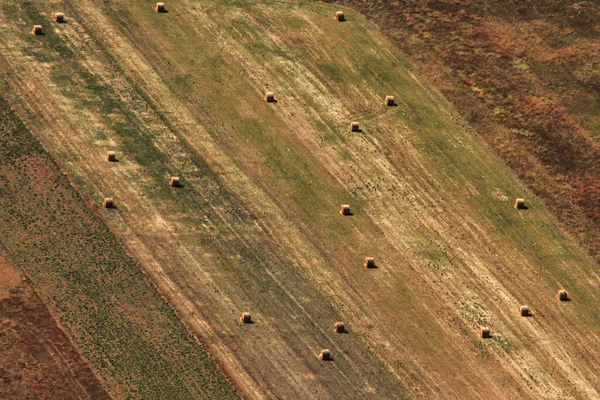 Vista Aérea Del Campo Cultivado —  Fotos de Stock