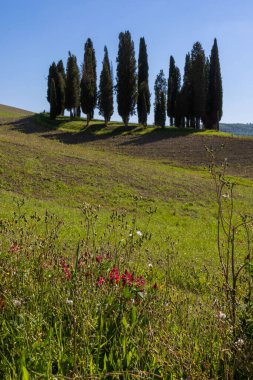 Mavi gökyüzü ile Toskana kırsal manzarası