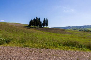 Mavi gökyüzü ile Toskana kırsal manzarası