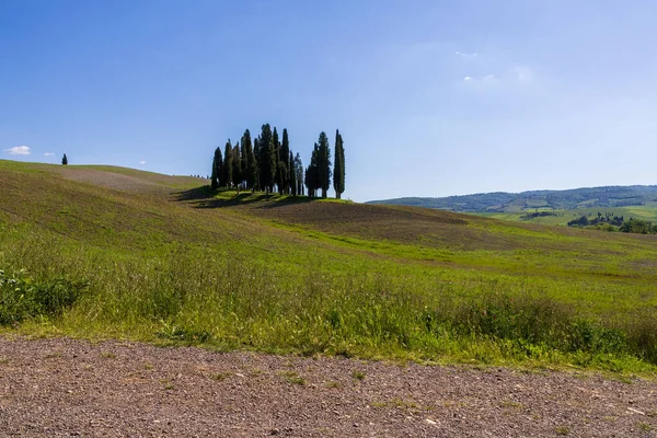 Mavi gökyüzü ile Toskana kırsal manzarası