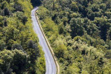 Toskana 'daki ormanda otoyol