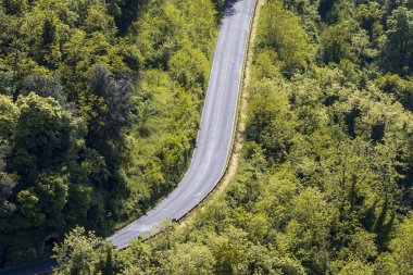 Toskana 'daki ormanda otoyol