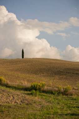 Toskana 'da kırsal manzara Mavi gökyüzü ve bulutlar