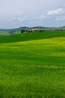Mavi gökyüzü ile Toskana kırsal manzarası