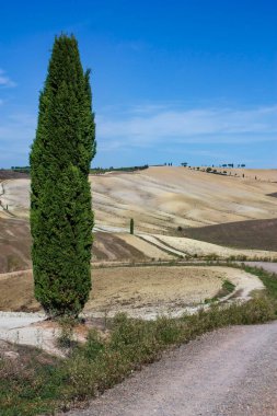 Mavi gökyüzü ile Toskana kırsal manzarası