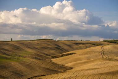 Mavi gökyüzü ile Toskana kırsal manzarası