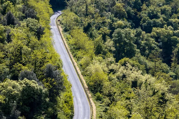Toskana 'daki ormanda otoyol