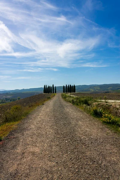 Mavi gökyüzü ile Toskana kırsal manzarası