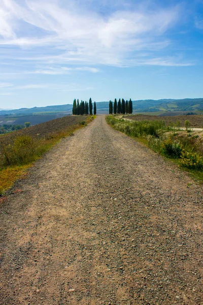 Mavi gökyüzü ile Toskana kırsal manzarası
