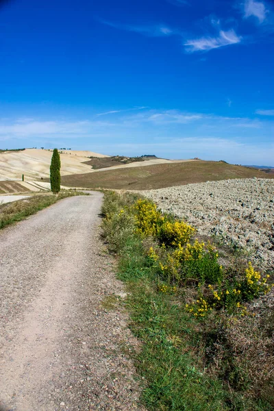 Mavi gökyüzü ile Toskana kırsal manzarası