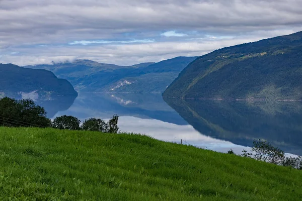 Yazın Norveç fiyordunun güzel manzarası