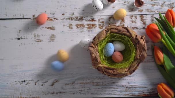 Video Vícebarevná Velikonoční Vajíčka Válející Bílém Dřevěném Stole Tulipány Tradiční — Stock video