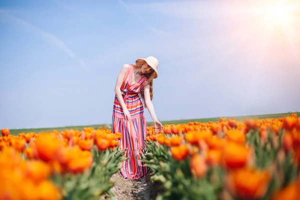 Beautiful red hair woman wearing in striped dress standing on colorful tulip flower fields in Amsterdam region, Holland. Magical Netherlands landscape with tulip field. Trevel and spring concept — Stock Photo, Image