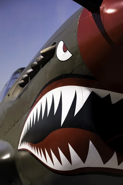 Flygande Tiger näsa konst Stockbild