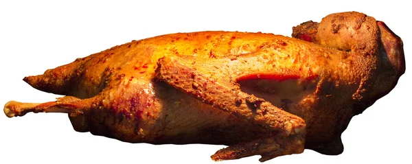 Beyaz izole bir fırında pişmiş kaz