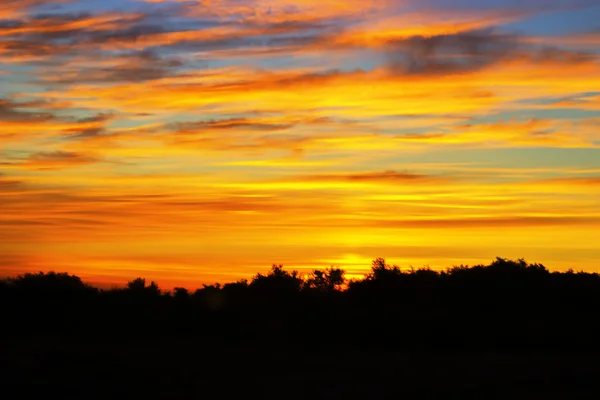 Soft blurred yellow clouds in the sky during a sunset — Stock Photo, Image