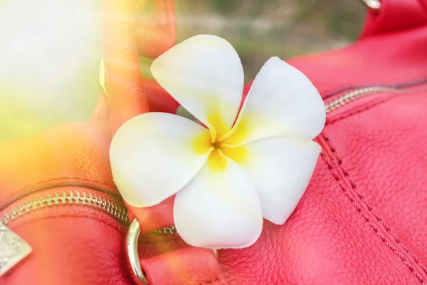 White flower on a coral bag design, effects, toning — Stock Photo, Image