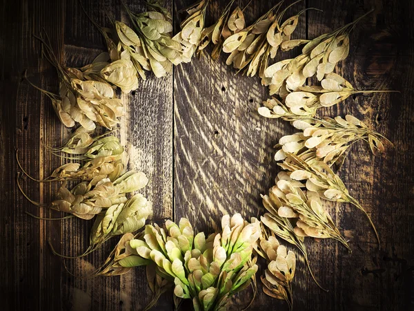 Φθινοπωρινό φόντο ξηρούς σπόρους από έναν σφένδαμνο στην ξύλινη υφή — Φωτογραφία Αρχείου