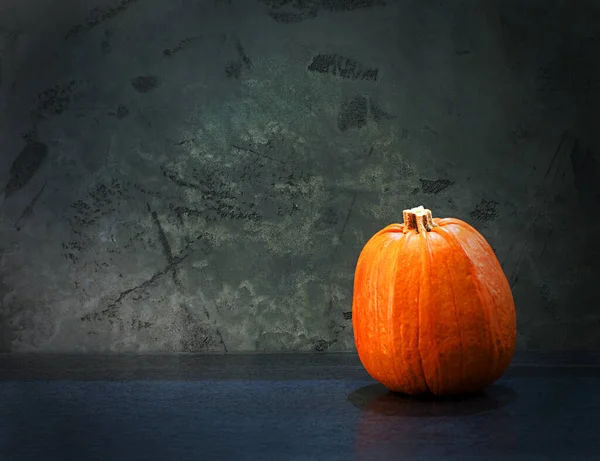 Orange Pumpa Grå Bakgrund — Stockfoto