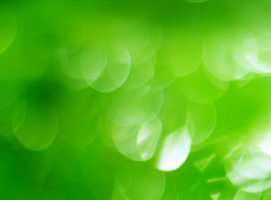 Doğa etkisi Bokeh bulanık