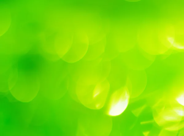 Doğa etkisi Bokeh bulanık