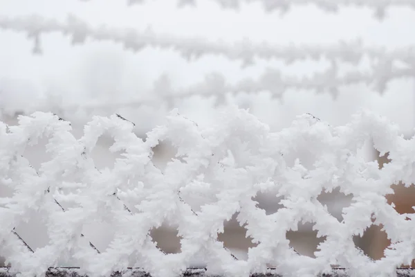 Raster met vierkante cellen in sneeuw — Stockfoto