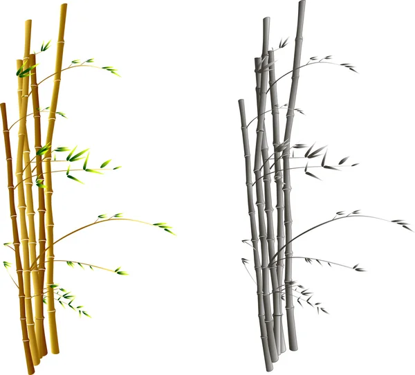 Bambu em um vento — Vetor de Stock