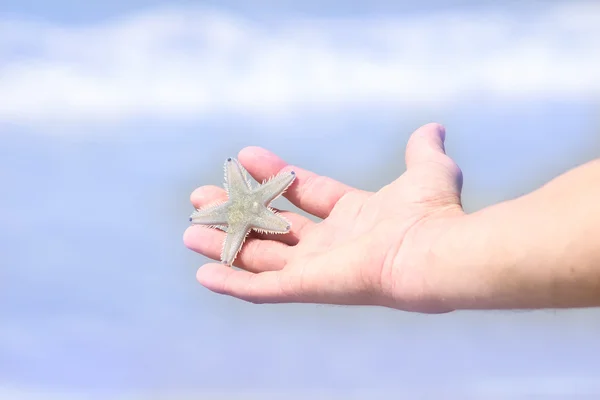 Main masculine avec une étoile de mer contre la mer — Photo