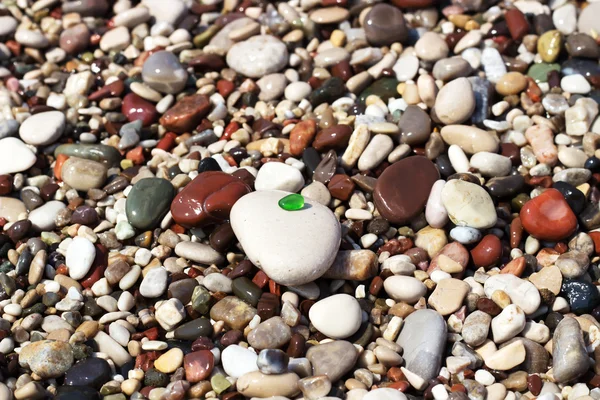 Ciottolo bagnato su una spiaggia, attenzione selettiva — Foto Stock