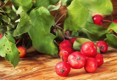 Kırmızı peynir mayası ahşap doku üzerinde bir