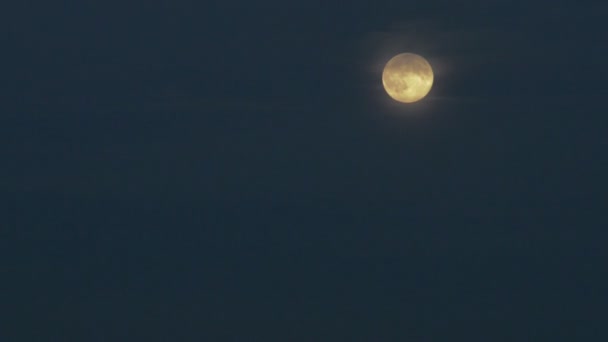 Luna llena sobre cielo azul oscuro . — Vídeos de Stock