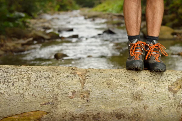 Hiking shoes legs on trunk on mountain trail. — Stock Photo, Image